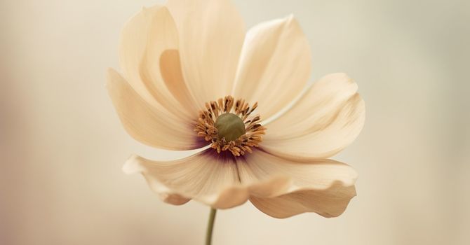 Social Media/Marketing