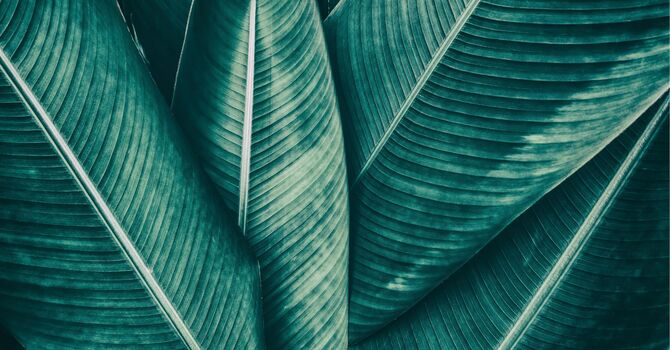 Experience Management